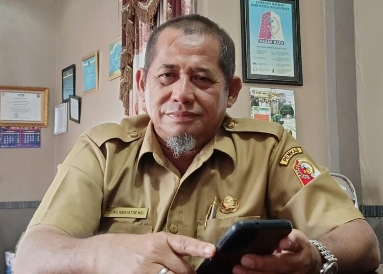 Kepala Inspektorat Nagan Raya, Teuku Hidayat, SE.,M.Si,