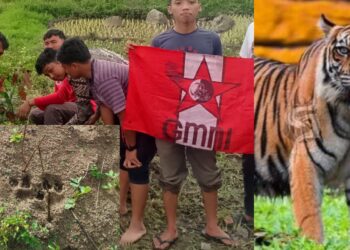 Sekretaris Gerakan Mahasiswa Nasional Indonesia (GMNI) Andi Silalahi menegaskan agar BKSDA Balai Konservasi Sumber Daya Alam serius untuk cepat tanggap penanganan adanya informasi hewan liar di duga harimau yang masih berkeliaran di perkebunan masyarakat