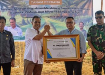 Kementerian Pertanian bekerja sama dengan Pemerintah Kabupaten Ogan Komering Ilir (OKI) dan didukung oleh PT Sampoerna Agro menginisiasi program peremajaan sawit rakyat (PSR) dengan metode tumpang sari atau intercropping melalui penanaman padi gogo. Program ini menjadi bagian dari upaya mendukung swasembada pangan yang dicanangkan Presiden Prabowo.