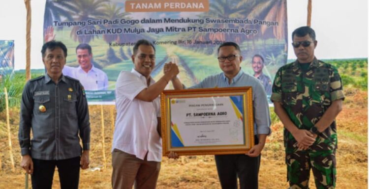 Kementerian Pertanian bekerja sama dengan Pemerintah Kabupaten Ogan Komering Ilir (OKI) dan didukung oleh PT Sampoerna Agro menginisiasi program peremajaan sawit rakyat (PSR) dengan metode tumpang sari atau intercropping melalui penanaman padi gogo. Program ini menjadi bagian dari upaya mendukung swasembada pangan yang dicanangkan Presiden Prabowo.