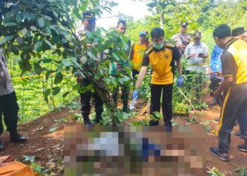 Seorang pria lanjut usia (lansia) ditemukan tergeletak di kebun wilayah Desa Wlahar, Kecamatan Rembang, Kabupaten Purbalingga, Jumat (17/1/2025). Saat dilakukan pengecekan lansia tersebut ternyata sudah meninggal dunia.