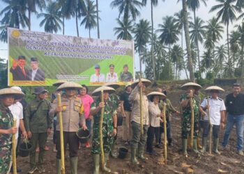 Kapolresta Manado Kombes Pol Julianto Sirait mengikuti kegiatan Kick Off Penanaman Integrasi Padi Gogo dan Kelapa Dalam Rangka Mendukung Ketahanan Pangan Nasional yang berlangsung di lahan Kelompok Tani (Poktan) Multi Argo, Kelurahan Pandu Lingkungan 3, Kecamatan Bunaken. Kegiatan ini dimulai pada pukul 15.30 WITA dan diikuti oleh kurang lebih 300 peserta, Sabtu (19/1/2025).