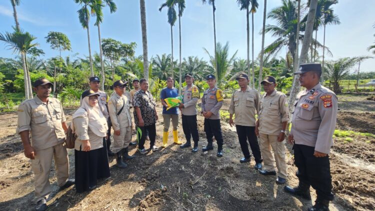 Polsek Paya Bakong Polres Aceh Utara ikut serta menggelar penanaman jagung serentak di Gampong Alue Bieng, Kecamatan Paya Bakong, Aceh Utara, Selasa (21/1/2025).