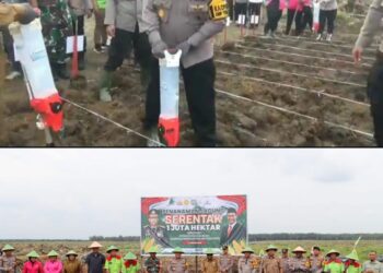 Polres Labuhanbatu melaksanakan launching penanaman jagung serentak bersama berbagai pihak di areal PT Smart Brussel Divisi III, Desa Perkebunan Brussel, Kecamatan Marbau, Kabupaten Labuhanbatu Utara, Selasa (21/01/2025).
