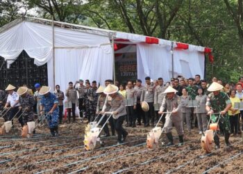 Polresta Manado bersama Polda Sulawesi Utara (Sulut) melaksanakan kegiatan tanam jagung serentak di lahan seluas 1 juta hektare di Perkebunan Pandu, Kelurahan Pandu, Kecamatan Bunaken. Kegiatan ini merupakan langkah nyata untuk memantapkan sistem pertahanan dan keamanan negara serta mendorong kemandirian bangsa melalui swasembada pangan, energi, ekonomi kreatif, ekonomi hijau, dan ekonomi biru, Selasa (21/1/2025).