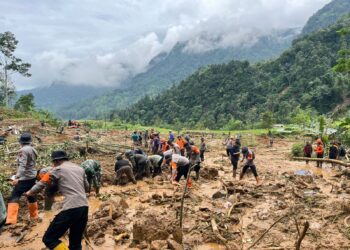 Upaya pencarian korban longsor di wilayah Petungkriyono terus berlanjut hingga hari ke-4, Jumat (24/01/2025). Tim gabungan memperluas area pencarian untuk meningkatkan peluang menemukan korban yang masih hilang.