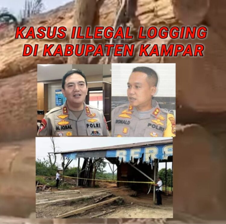 ILLEGAL LOGGING KAMPAR : Para pelaku illegal logging di Siabu Kabupaten Kampar kebal hukum dan bebas beraktivitas kembali. Salah satu sawmil illegal logging di Siabu Kabupaten Kampar telah di pasangi police line oleh polres kampar. Namun, police line tersebut diduga dibuang pelaku. (Foto. Dok/Mitrapolri.com)