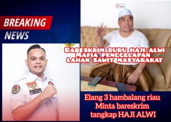 Ketua Dewan Pimpinan Provinsi (DPP) Elang 3 Hambalang Riau, Pebriyan Winaldi mendesak pihak berwenang untuk segera menangkap Haji Alwi.