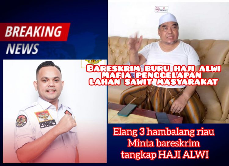 Ketua Dewan Pimpinan Provinsi (DPP) Elang 3 Hambalang Riau, Pebriyan Winaldi mendesak pihak berwenang untuk segera menangkap Haji Alwi.