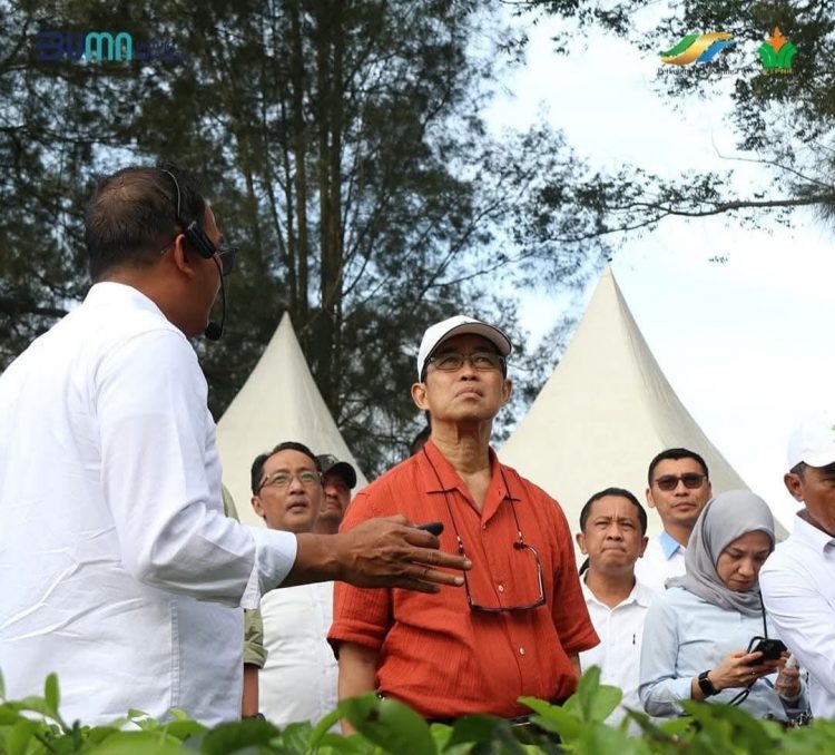 Dewan Komisaris Holding Perkebunan Nusantara PTPN III (Persero) melakukan kunjungan kerja ke Kebun dan Pabrik Teh yang merupakan unit usaha PTPN IV Regional II yang berada di Kabupaten Simalungun Sumatera Utara, Rabu (12/2/2025).