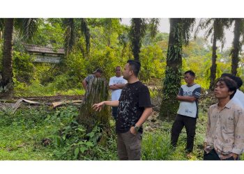 Sejumlah organisasi masyarakat dan mahasiswa yang tergabung dalam DPP Elang 3 Hambalangan Riau, Satgas Adat Kenegerian Kampar, dan Jaringan Mahasiswa Riau (JMR) resmi melaporkan Direktur PT. PMKS (RMJ) ke Kejaksaan Negeri Kampar.