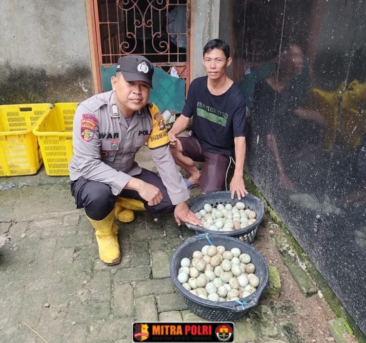 Bhabinkamtibmas Polsek Indralaya Bripka Iduwar melaksanakan kegiatan monitoring dan pemeliharaan ternak bebek petelur serta budidaya ikan lele di Desa Sudi Mampir, Kecamatan Indralaya, Kabupaten Ogan Ilir, pada Sabtu (15/2/24).