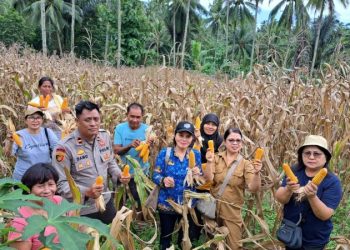 Polsek Malalayang bersama Dinas Pertanian dan Kelompok Tani setempat menggelar acara panen jagung yang berlangsung pada hari ini. Kegiatan yang dilaksanakan di lahan pertanian milik warga ini bertujuan untuk mendorong produktivitas pertanian lokal serta meningkatkan kesadaran akan pentingnya ketahanan pangan di tengah tantangan global yang semakin berat, Selasa (18/2/2025).