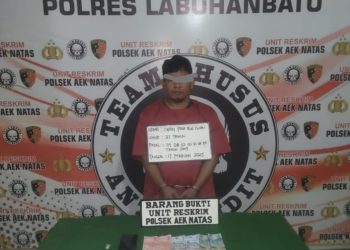 Penggerebekan yang dilakukan pada Senin (17/02/2025) dini hari, seorang pria berinsial IP alias Iwan (37), berhasil diamankan di Dusun Kongsienam, Desa Terang Bulan, Kecamatan Aek Natas, Kabupaten Labuhanbatu Utara.