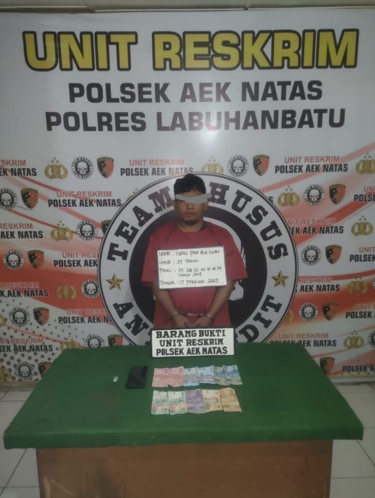 Penggerebekan yang dilakukan pada Senin (17/02/2025) dini hari, seorang pria berinsial IP alias Iwan (37), berhasil diamankan di Dusun Kongsienam, Desa Terang Bulan, Kecamatan Aek Natas, Kabupaten Labuhanbatu Utara.