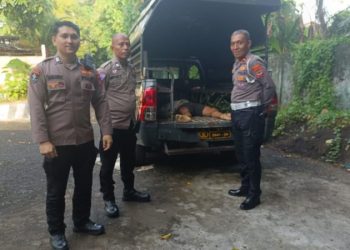 Sebuah kecelakaan tunggal kendaraan roda dua terjadi di Jalan Raya Sea – Malalayang Satu Barat, Kecamatan Malalayang, Kota Manado, pada jumat (21/2/2025) pagi. Kejadian ini mengakibatkan korban meninggal dunia.