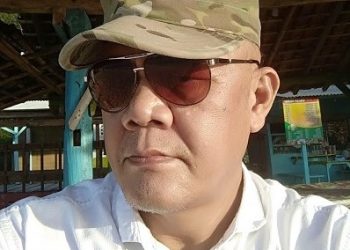 Ketua Umum PKN, Patar Sihotang
