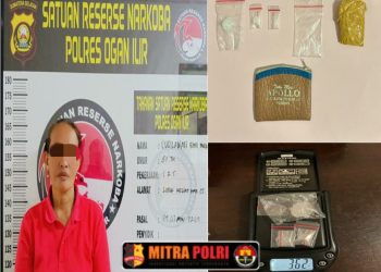 Pelaku yang diamankan berinisial SW (49), seorang ibu rumah tangga yang tinggal di Dusun II Desa Lubuk Keliat. Penangkapan ini berawal dari laporan masyarakat yang mencurigai adanya aktivitas peredaran narkoba di rumah tersangka.