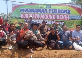 Kepala Desa Cibangkong, Kaman bersama masyarakat desa setempat melakukan penanaman perdana benih jagung secara massal di kawasan desa tersebut pada hari Rabu 05/02/2025 di Desa yang terletak di Kecamatan Pekuncen, Kabupaten Banyumas.
