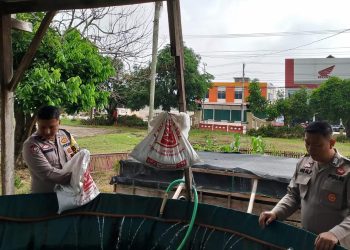 Personel Polsek Indralaya secara rutin melakukan pengecekan kondisi kolam ikan serta pemberian pakan di pekarangan Polsek Indralaya. Kegiatan ini merupakan bagian dari pemanfaatan lahan yang produktif dan berkelanjutan guna mendukung ketahanan pangan di lingkungan kepolisian.
