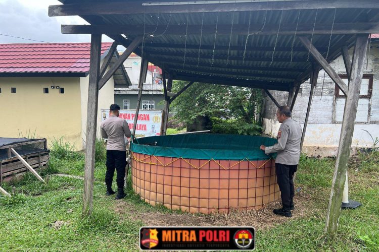 Polsek Indralaya melaksanakan kegiatan monitoring dan pengecekan kolam ikan serta kebun Pekarangan Pangan Lestari (P2L) yang berada di lahan pekarangan Polsek Indralaya. Kegiatan ini dilaksanakan pada Sabtu (15/3) pukul 09.20 WIB oleh KSPKT Aiptu Agustian bersama personel piket Polsek Indralaya.