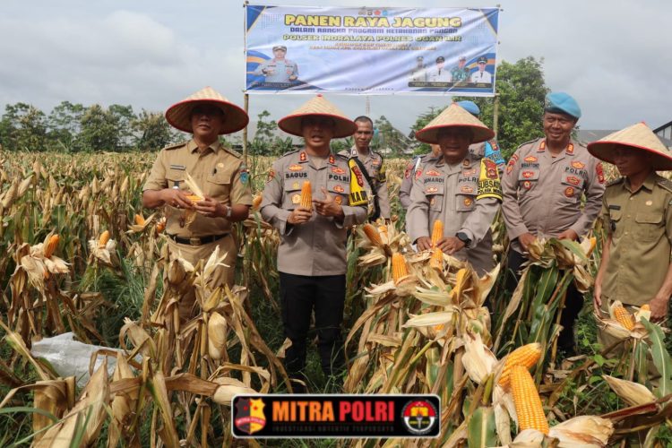 Kapolres Ogan Ilir, AKBP Bagus Suryo Wibowo, S.IK, memimpin kegiatan Panen Raya Jagung dalam rangka Program Ketahanan Pangan yang dilaksanakan di Dusun III, Desa Lorok, Kecamatan Indralaya Utara, Kabupaten Ogan Ilir, pada Senin, 24 Maret 2025.