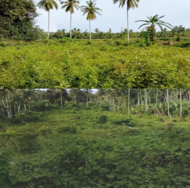 Lokasi Tanah di desa Ara bungong, Kabupaten Bireuen, Provinsi Aceh