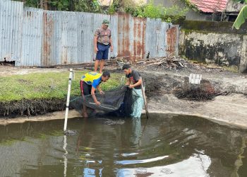 Koramil 1016-01/Pahandut Kodim 1016/Palangka Raya, memanfaatkan lahan kosong di sekitar kantor Koramil sebagai tempat untuk budidaya ikan lele, Rabu (16/04/2025).