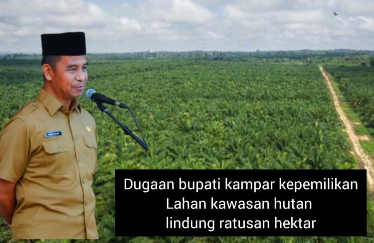 Dugaan kepemilikan lahan kawasan hutan lindung oleh Bupati Kampar, AY. (Foto. Dok/Elang 3 Hambalang)