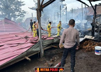 Sebuah rumah warga di Dusun II, Desa Pipa Putih, Kecamatan Pemulutan, Kabupaten Ogan Ilir dilaporkan terbakar pada Jumat (04/04) sekira pukul 11.10 WIB. Rumah tersebut diketahui milik Tri Muliyah alias Yah (45), yang saat kejadian tengah berada di luar kota.