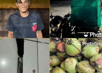 Seorang pria berinisial I (35), warga Desa Tanjung Sejaro, Kecamatan Indralaya, Kabupaten Ogan Ilir, harus berurusan dengan pihak kepolisian setelah tertangkap mencuri puluhan buah kelapa. Kini, pelaku telah diamankan dan meringkuk di sel tahanan Polsek Indralaya.