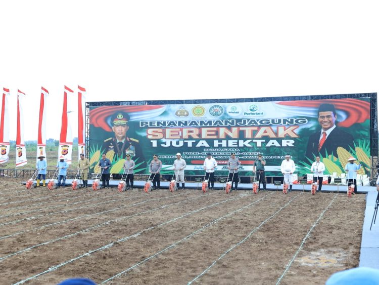 Kementerian Pertanian bersama Polri melalui Gugus Tugas Polri Mendukung Ketahanan Pangan menggelar rapat analisis dan evaluasi (Anev) secara daring dalam rangka percepatan pencapaian target tambahan produksi jagung nasional sebanyak 4 juta ton tahun 2025. Sabtu, 5 April 2025.