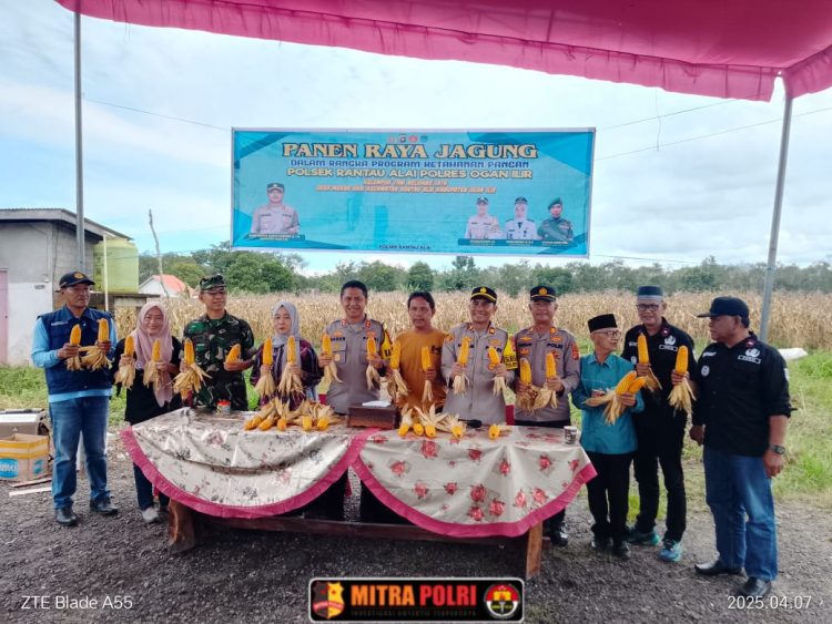 Kapolres Ogan Ilir AKBP Bagus Suryo Wibowo, S.I.K., menghadiri kegiatan Panen Raya Jagung Program Ketahanan Pangan yang digelar Polsek Rantau Alai pada Senin (7/4/2025) di Dusun I, Desa Mekarsari, Kecamatan Rantau Alai, Kabupaten Ogan Ilir.
