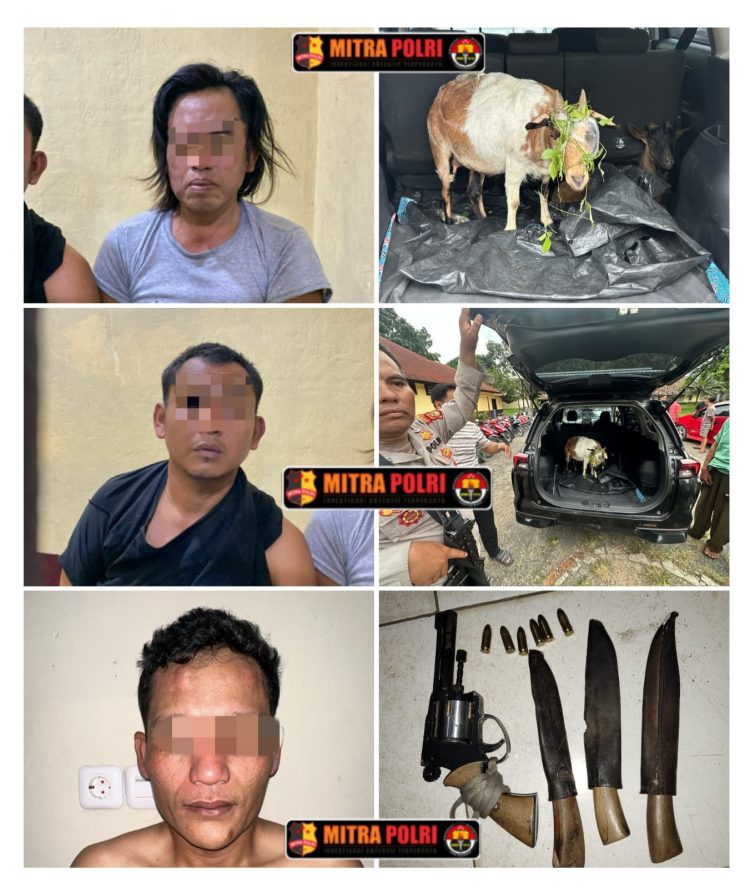 Polsek Tanjung Raja bergerak cepat dalam merespon laporan masyarakat dan berhasil mengamankan tiga orang pelaku pencurian hewan ternak jenis kambing, Senin (7/4/2025) sore.