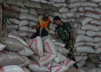 Kodim 1016/Plk melaksanakan Pendampingan Bulog Kanwil Kalteng merupakan bentuk dukungan TNI dalam mewujudkan Ketahanan Pangan Nasional dalam hal ini mengecek langsung keadaan lokasi penyerapan dan penggilingan gabah bertempat di Desa Belanti, Kabupaten Pulang Pisau, Kalimantan Tengah. Jumat (11/4/2025).