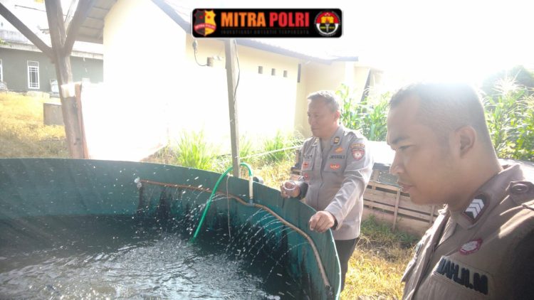 Polsek Indralaya melaksanakan kegiatan monitoring dan pengecekan kolam ikan serta tanaman jagung yang berada di lahan pekarangan Mapolsek Indralaya, pada Jumat (11/4/2025) pukul 08.35 WIB.