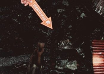 Kejadian tersebut menimpa sebuah kandang kambing berukuran 4 x 6 meter milik Eko Saputro (54), yang terbakar akibat api dari rumput dan dedaunan kering yang sebelumnya dibakar sebagai penghangat bagi kambing dan ayam serta untuk mengusir nyamuk di sekitar kandang.