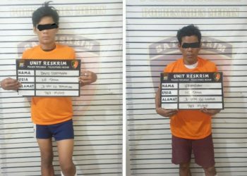 DITANGKAP: DD dan E ditangkap Poksek Patumbak sementara P alias M DPO, Senin (14/4/2025). (Foto Dok/ Polsek)