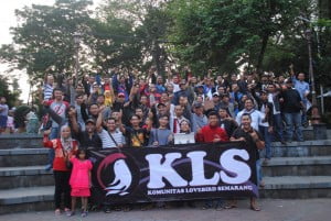 Pecinta Love Bird, Anda Boleh Bangga Jika Sudah Gabung Grup Ini