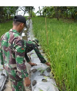 TMMD, TNI Bareng Petani Cek Irigasi