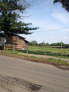 #IkiLhoSemarang, Kasmo dan Kandang Kebo (3)
