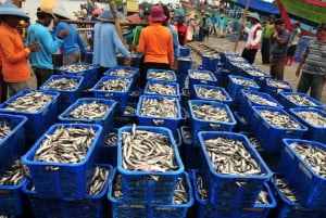 Suplai Tinggi, Tapi Konsumsi Ikan Warga Jateng Rendah