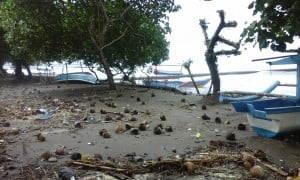 Ini Penampakan Pantai Teluk Penyu Pasca Terjangan Gelombang Tinggi