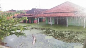 Rob 14 Kelurahan di Pekalongan Ini Kian Parah