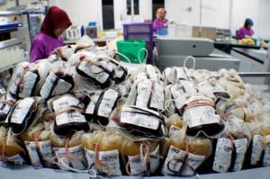 Stok Darah PMI Minggu Pertama Puasa Aman, Selanjutnya?