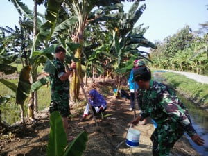 Gandeng Mahasiswa, Koramil 11/Pedurungan Kenalkan Sistem Refugia ke Petani