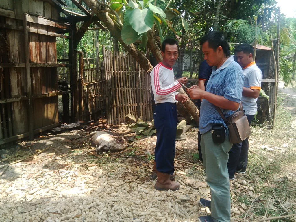 Ditinggal Apitan Kambing Haryono Terbakar
