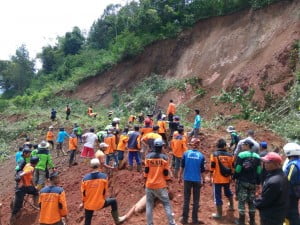 Longsor Banjarnegara, 1 Hektar Sawah Tertimbun
