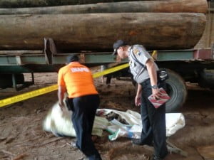 Tertimpa Kayu 4 Meter Supir Truck Tewas