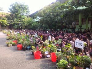 Tahun 2017 Pemkot Semarang Bakal Tambah 80 Hutan Kota